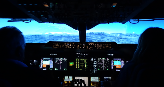 Fly a REAL MOTION jet simulator
